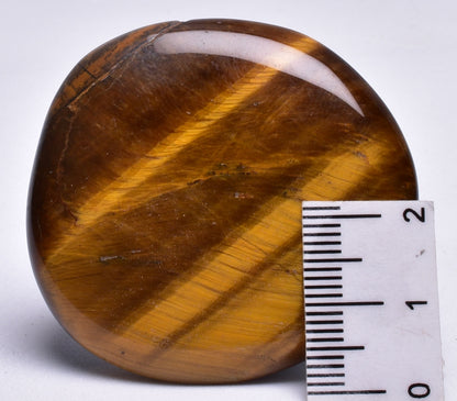 TIGER EYE POLISHED CRYSTAL PALM STONE P32