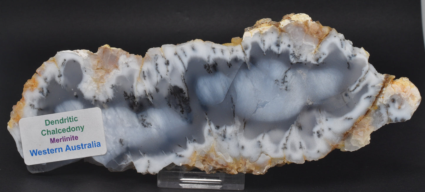 Merlinite Polished Slice, Dendritic Chalcedony, 199 grams Australia S476