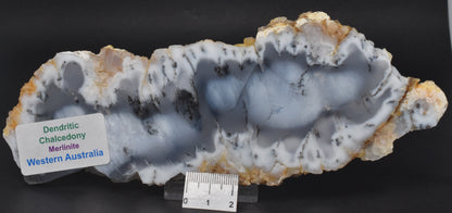 Merlinite Polished Slice, Dendritic Chalcedony, 199 grams Australia S476