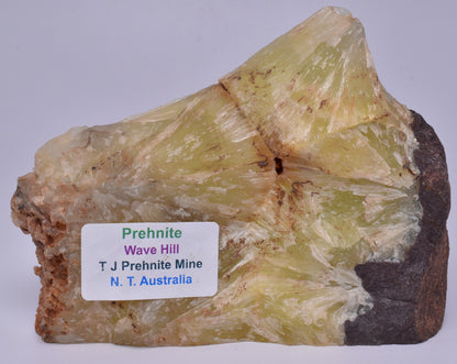 PREHNITE Polished Slice, 413g, Wave Hill, AUSTRALIA S825