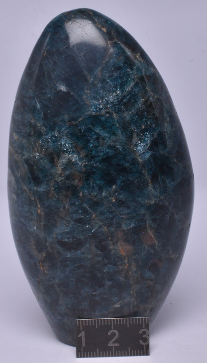 MOSS AGATE POLISHED FREEFORM P539