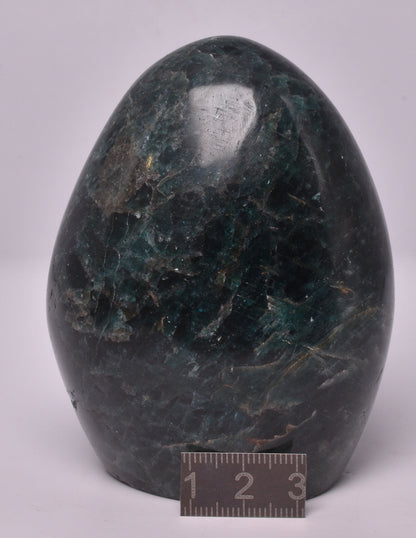 MOSS AGATE POLISHED FREEFORM P445