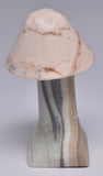 ARAGONITE MUSHROOM CARVING P617