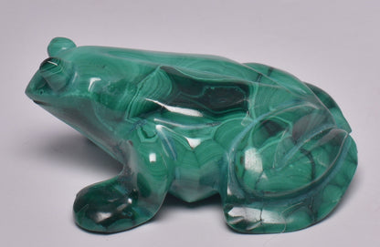 MALACHITE CRYSTAL FROG CARVING P1058