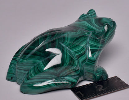 MALACHITE CRYSTAL FROG CARVING P1060