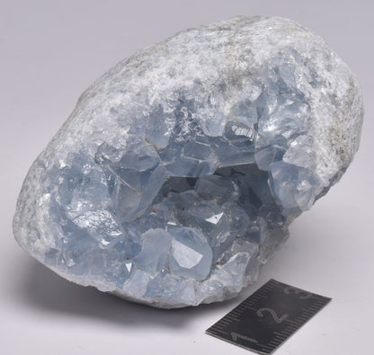 CELESTITE CRYSTAL CLUSTER, Madagascar, 230 grams P147