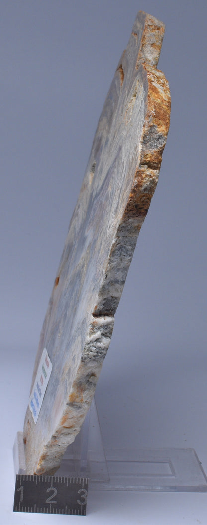 Stromatolite NEOPROTEROZOIC, Noondine Chert, Slice, Australia S182