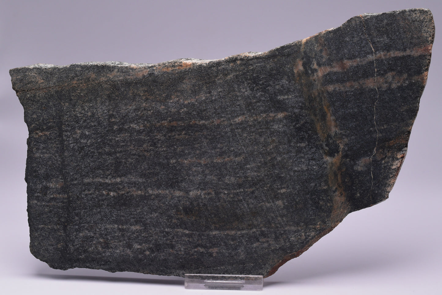 ACASTA GNEISS SLICE, “OLDEST ROCK" CANADA S447