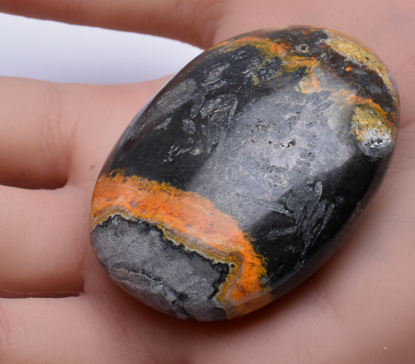 BUMBLEBEE MICROBIALITE JASPER POLISHED PALM STONE, INDONESIA P1102