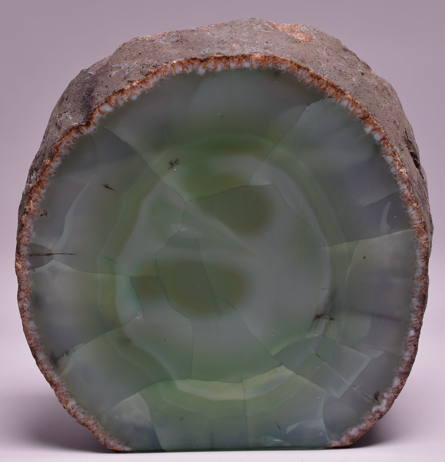 Agate, Dyed, Polished Geode Sliced from Brazil P520