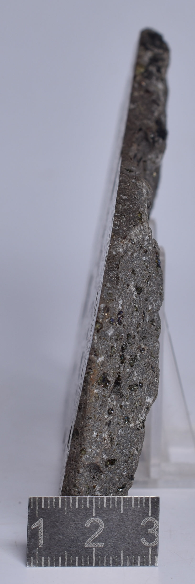 OLIVINE BASALT SLICE, KILAUEA VOLCANO, HAWAII S81