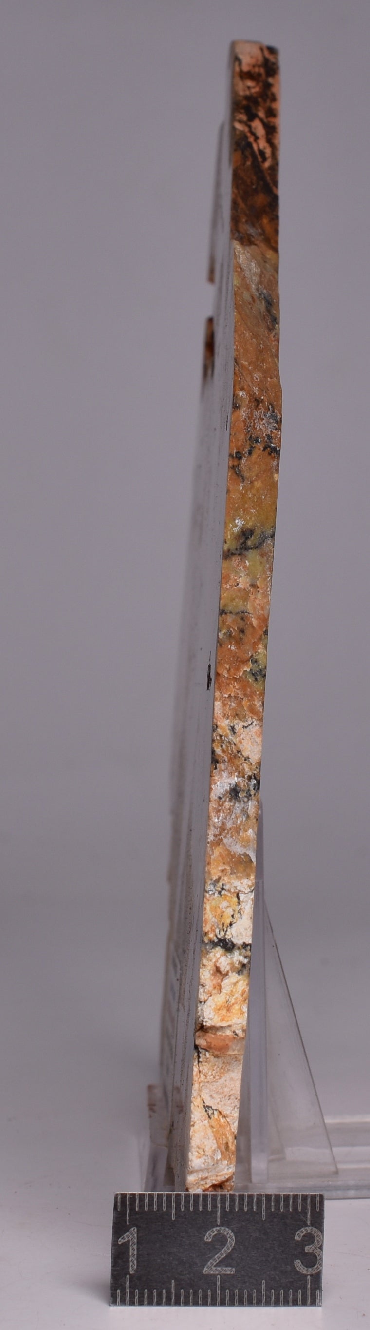 MICROBIAL MAT, STRELLEY POOL SLICE, 3.4byo, Australia S1098