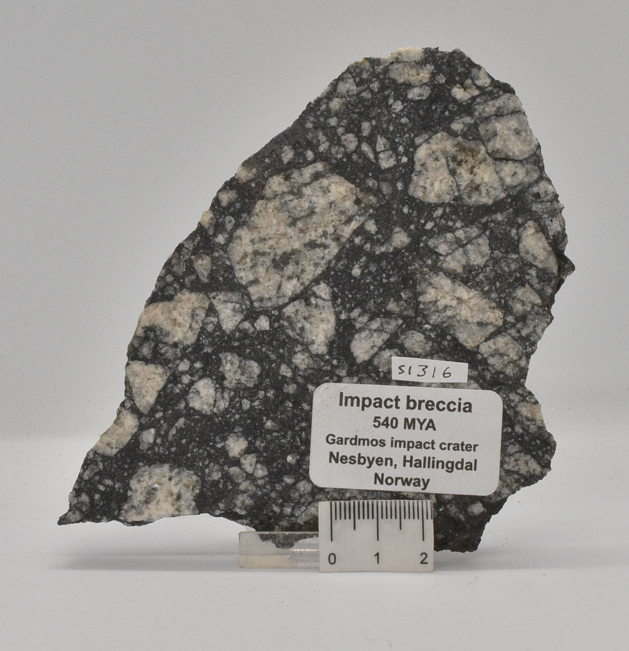 Impact Breccia (540mya)  Gardmos Impact Crater, Nesbyen, Norway S1316