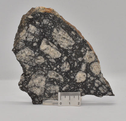 Impact Breccia (540mya)  Gardmos Impact Crater, Nesbyen, Norway S1316